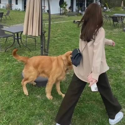 怪物狗